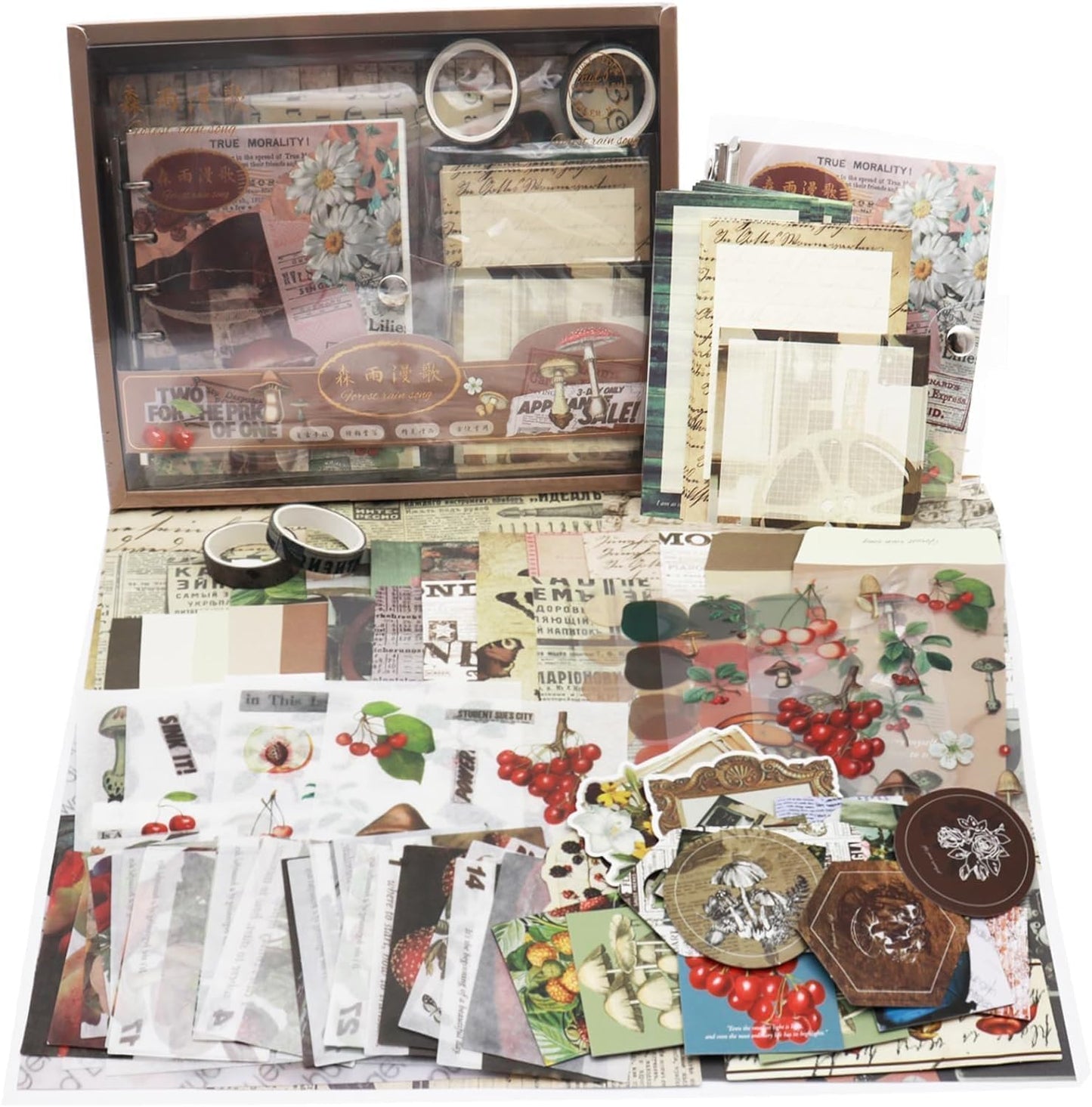 Post Office Mushroom Scrapbook Kit