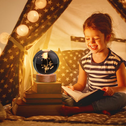 (ROSE) 3D Crystal Ball Night Lamp